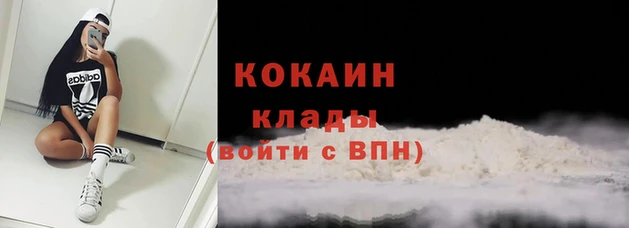 мдпв Осташков
