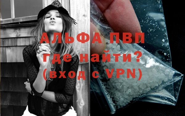 прущие грибы Абаза