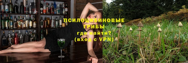 apvp Алексеевка