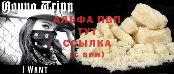 мдпв Осташков